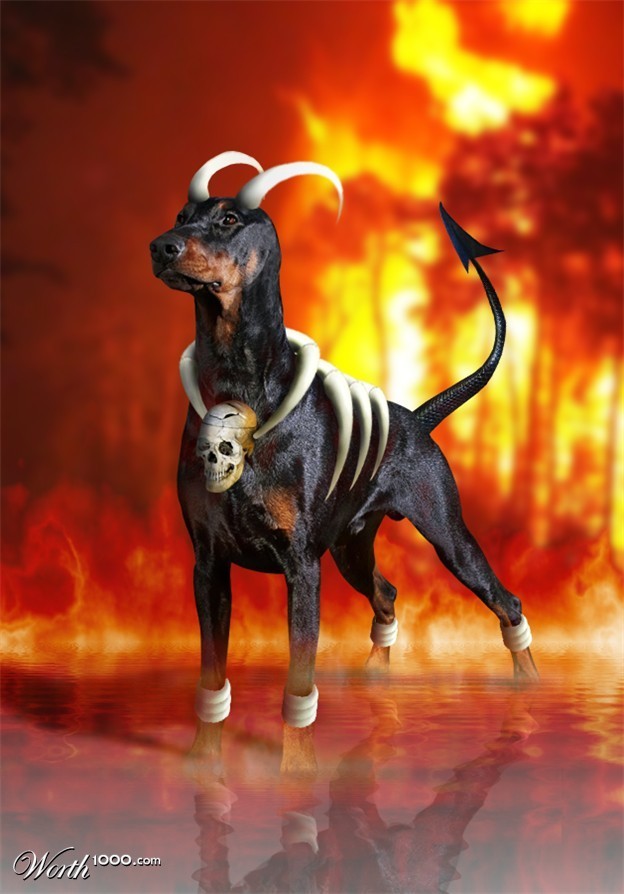 real-houndoom-real-pokemon-12893118-624-894.jpg