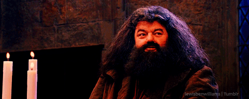 tumblr_mdauzeN8Rg1ry10fwo1_500.gif