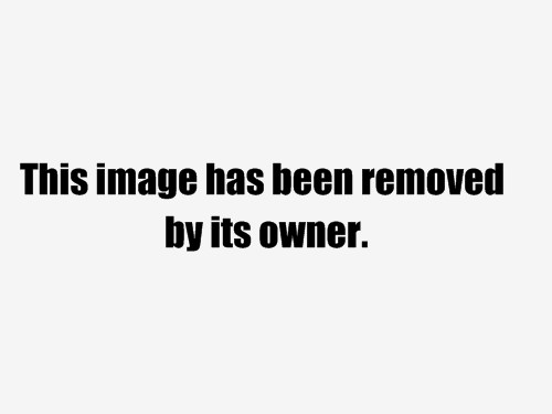 igvY3T46KUqotyZcMlyLFw2.gif