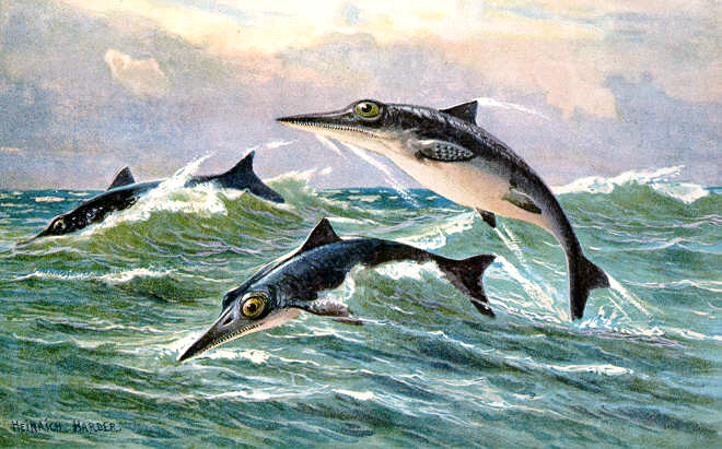 Ichthyosaur_hharder.png