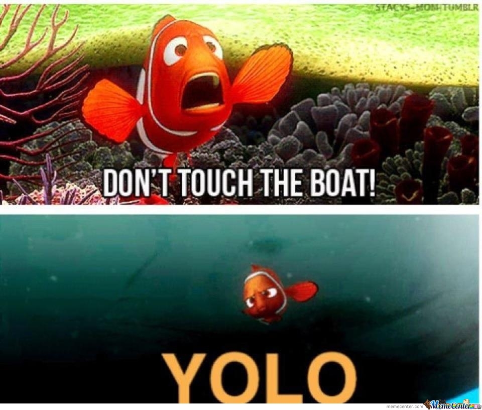 yolo_o_2916921.jpg