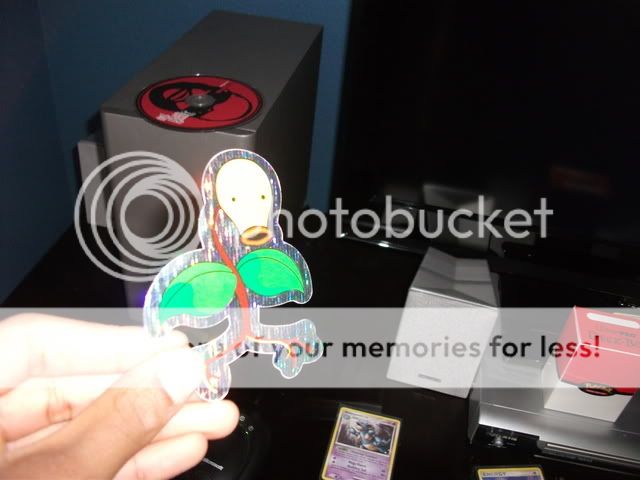 DSCF1638.jpg