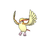 pidgeot-2.gif