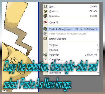SugiGuideImage17.png