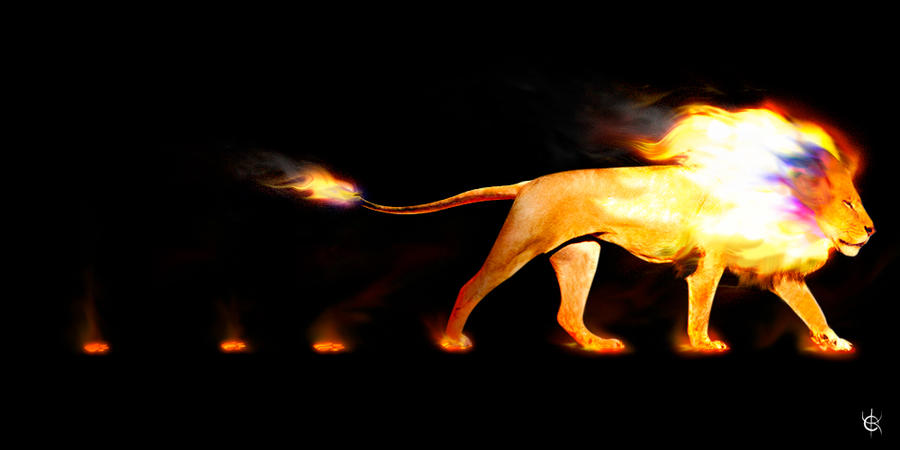Fire_Lion_by_K_A_Y_O.jpg