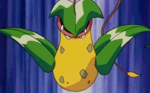 tumblr_lo195fpv0C1qd87hlo1_500.gif