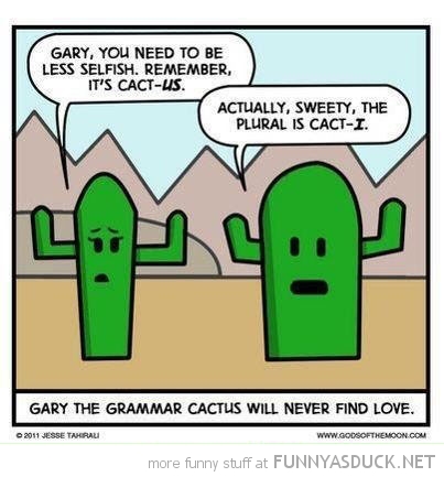 funny-grammar-cactus-never-find-love-comic-pics.jpg