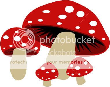 ist2_769964_red_mushrooms.jpg