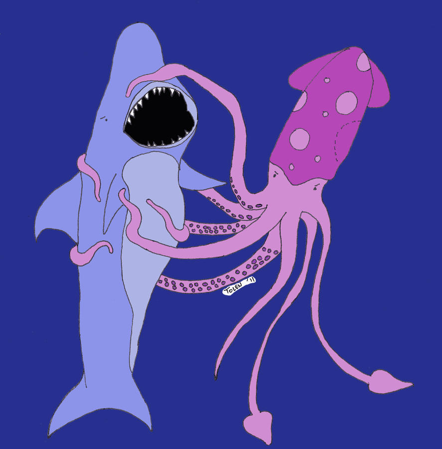 shark_vs__squid_by_tolen_dos-d464v6c.jpg