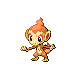 390chimchar.png