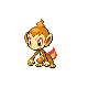 chimchar.png