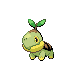 turtwig.png