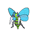 beedrill.png