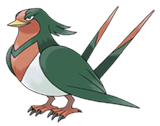 [PokeCommunity.com] flying poke club