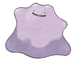 Ditto