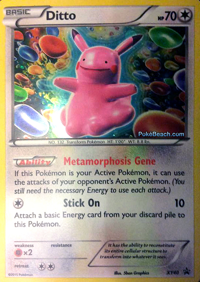 Ditto, XY—Promo, TCG Card Database
