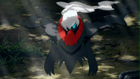 Enter Darkrai