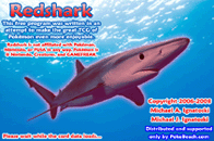 Redshark TCG Program