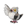 Pidove Pidove