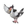 Tranquill Tranquill