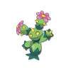Maractus Maractus