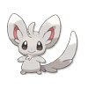 Minccino Minccino