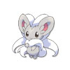 Cinccino Cinccino