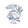 Reshiram Reshiram