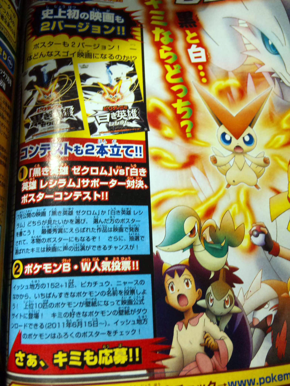 Differences Between Victini and the Black Hero, Zekrom & Victini and the  White Hero, Reshiram