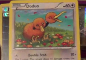 Doduo Generations