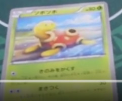 Shuckle XY102