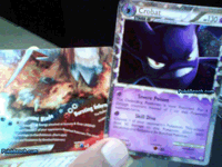 Crobat (Prime) and half of Suicune & Entei LEGEND from HS - Unleashed