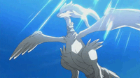 Victini and the White Hero Reshiram