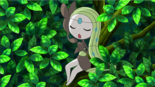 Meloetta in Best Wishes 2