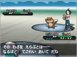 Clearer Game Screenshots of 'Pokemon Black' and 'White'  