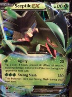 XY53 Sceptile EX