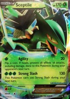 XY53 Sceptile EX