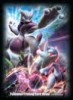 Mega Mewtwo Sleeves