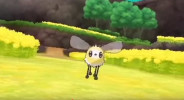 Cutiefly