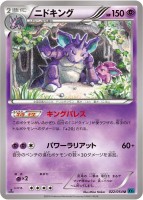 Nidoking XY11