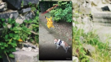 Pokemon GO Pikachu