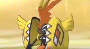 Tapu Koko 3