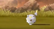 Togedemaru 6