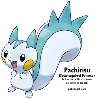Pachirisu Pokemon Diamond and Pearl