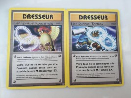 Evolutions Spirit Link Cards