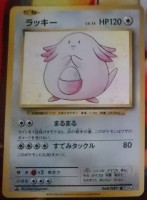 Chansey Cp6