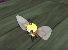 Cutiefly Evolution