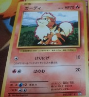 Growlithe Cp6