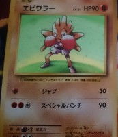 Hitmonchan Cp6