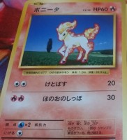 Ponyta Cp6